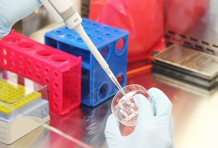 Revisión de pruebas de pacientes antes de realizar mamoplastia de aumento